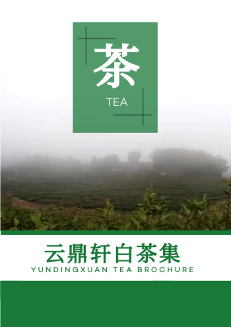 计算机系统集成:如何优化企业IT架构